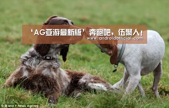 ‘AG亚游最新版’奔跑吧,伍聚人!(图2) 安卓下载