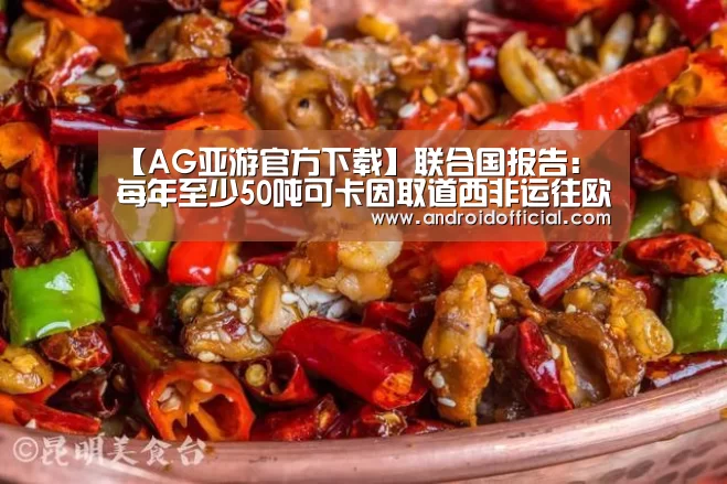 【AG亚游官方下载】联合国报告:每年至少50吨可卡因取道西非运往欧洲(图3) AG亚游官方下载