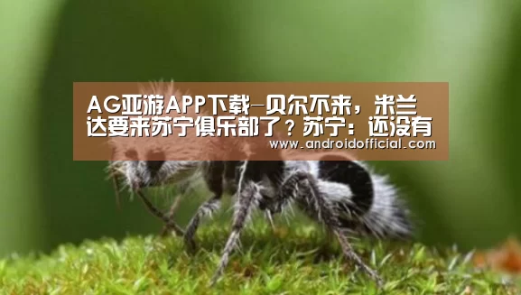 AG亚游APP下载-贝尔不来,米兰达要来苏宁俱乐部了?苏宁:还没有官方消息(图1) AG亚游APP下载
