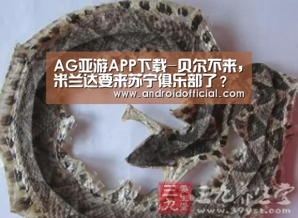 AG亚游APP下载-贝尔不来,米兰达要来苏宁俱乐部了?苏宁:还没有官方消息(图2) AG亚游最新版