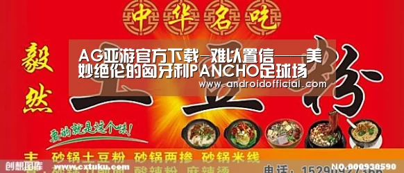 AG亚游官方下载-难以置信——美妙绝伦的匈牙利PANCHO足球场(图1) AG亚游APP下载